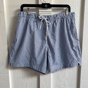 Abercrombie & Fitch Blue and White Striped Swim Shorts